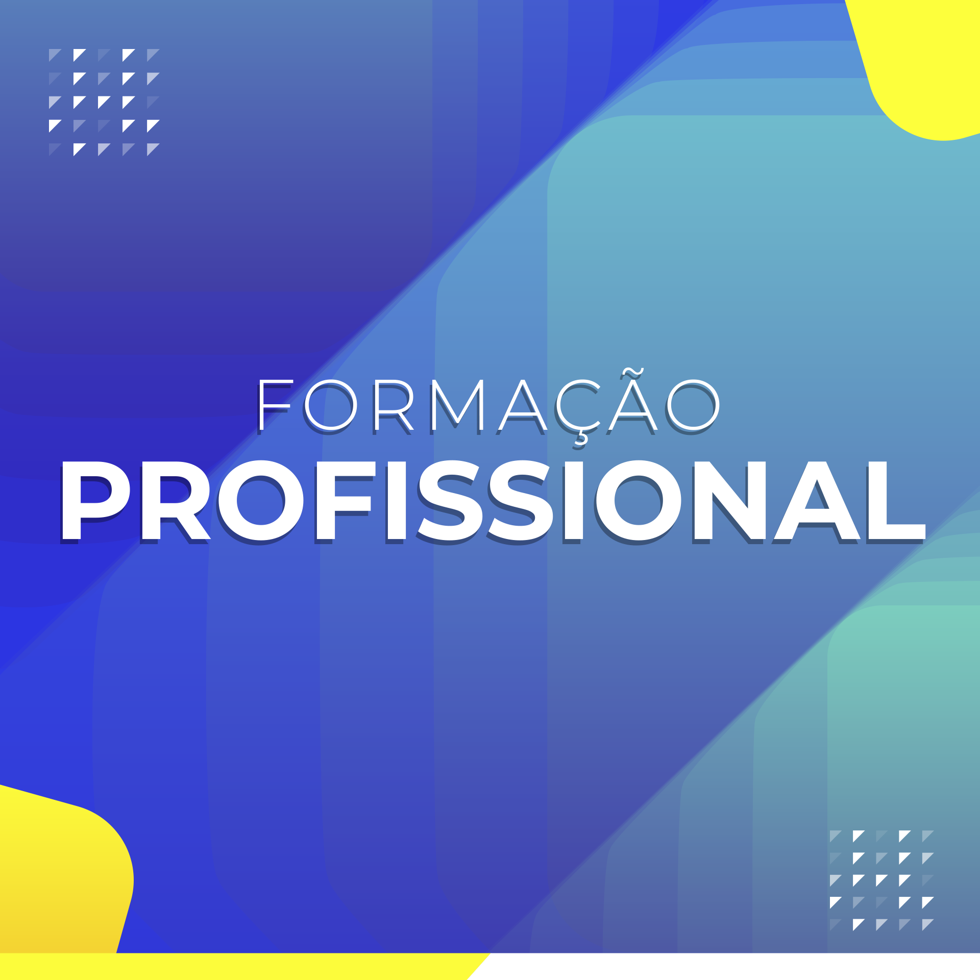 FORMAÇÃO PROFISSIONAL BH 